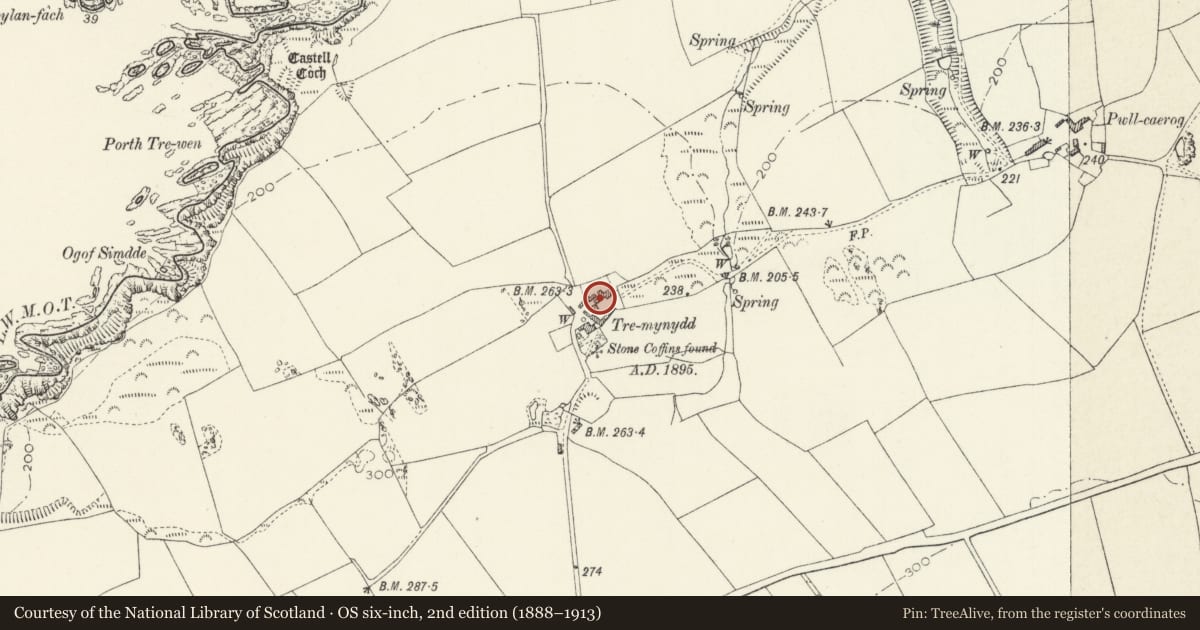 Ordnance Survey six-inch map, 2nd edition (1888–1913) covering the location of Outbuildings at E.end of N.Farmyard Range at Tremynydd Fawr, St. David's and the Cathedral Close, Pembrokeshire, with a pin at the register's coordinates