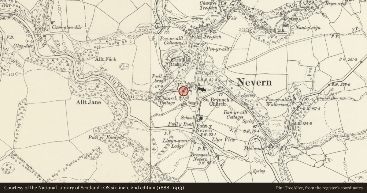 Ordnance Survey six-inch map, 2nd edition (1888–1913) covering the location of The Ivy, Nevern, Pembrokeshire, with a pin at the register's coordinates