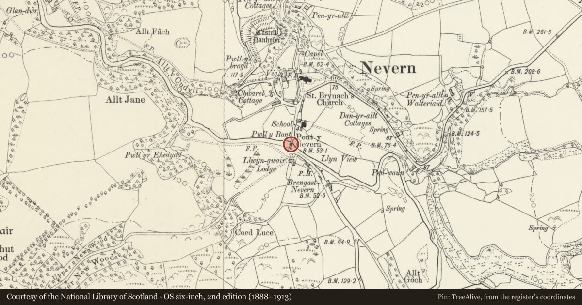 Ordnance Survey six-inch map, 2nd edition (1888–1913) covering the location of Nevern Bridge, Pembrokeshire, with a pin at the register's coordinates