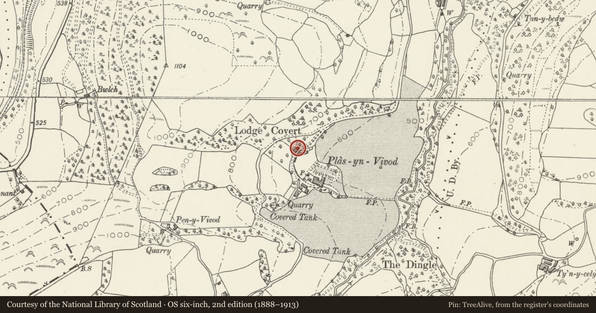 Ordnance Survey six-inch map, 2nd edition (1888–1913) covering the location of Lodge to NW side of Main Drive to Vivod, Llangollen, Denbighshire, with a pin at the register's coordinates
