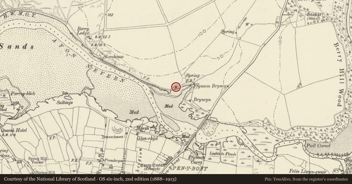 Ordnance Survey six-inch map, 2nd edition (1888–1913) covering the location of Limekiln at Ffynnon Bryncyn, Nevern, Pembrokeshire, with a pin at the register's coordinates