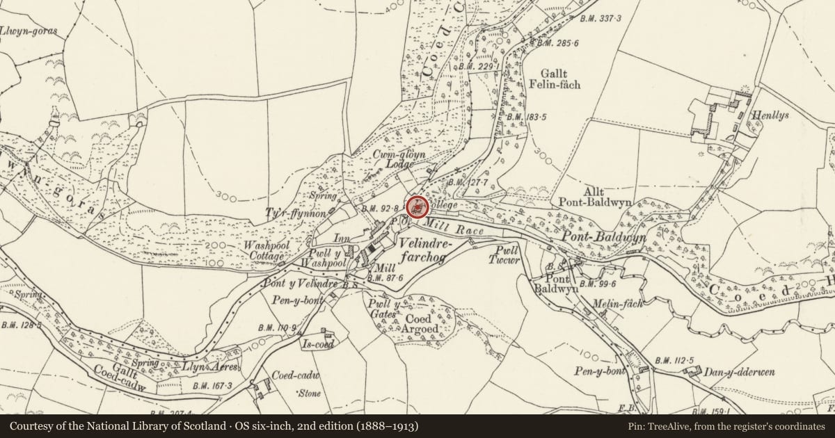 Ordnance Survey six-inch map, 2nd edition (1888–1913) covering the location of College, Nevern, Pembrokeshire, with a pin at the register's coordinates