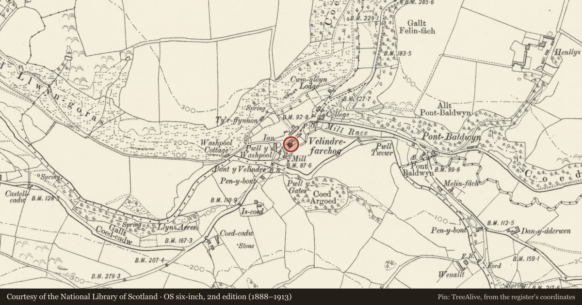 Ordnance Survey six-inch map, 2nd edition (1888–1913) covering the location of Cana Chapel/Capel Cana including forecourt walls, railings and gates, Nevern, Pembrokeshire, with a pin at the register's coordinates