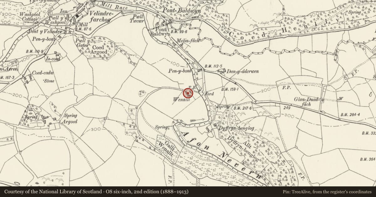 Ordnance Survey six-inch map, 2nd edition (1888–1913) covering the location of Wenallt, Nevern, Pembrokeshire, with a pin at the register's coordinates