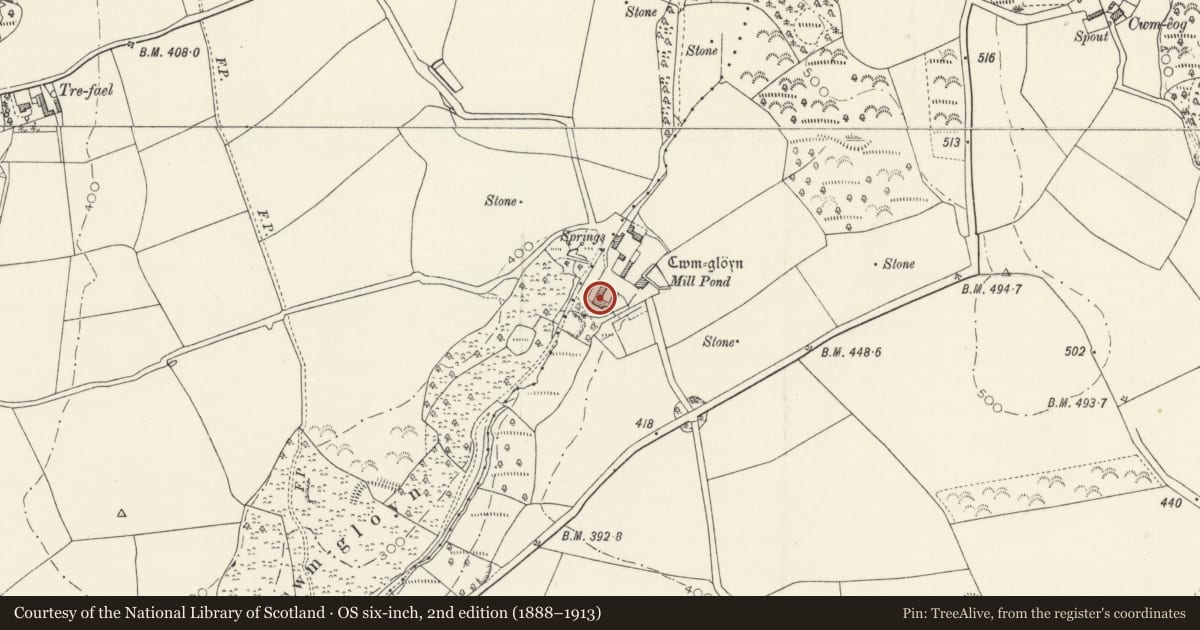 Ordnance Survey six-inch map, 2nd edition (1888–1913) covering the location of Cwm Gloyne, Nevern, Pembrokeshire, with a pin at the register's coordinates