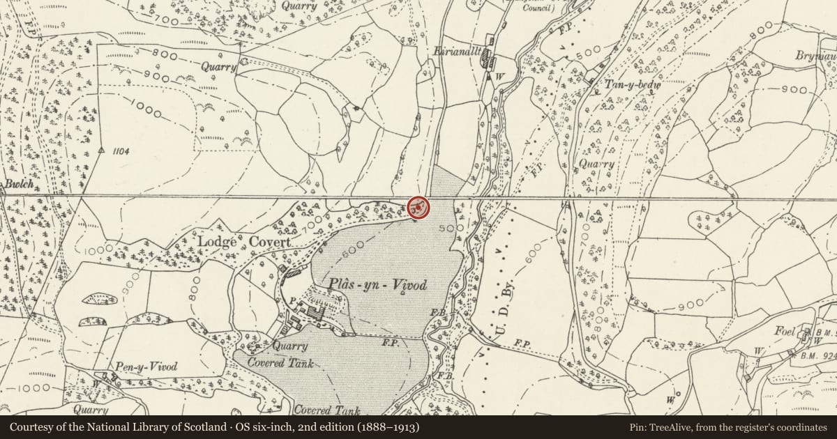 Ordnance Survey six-inch map, 2nd edition (1888–1913) covering the location of The Lodge, Llangollen, Denbighshire, with a pin at the register's coordinates