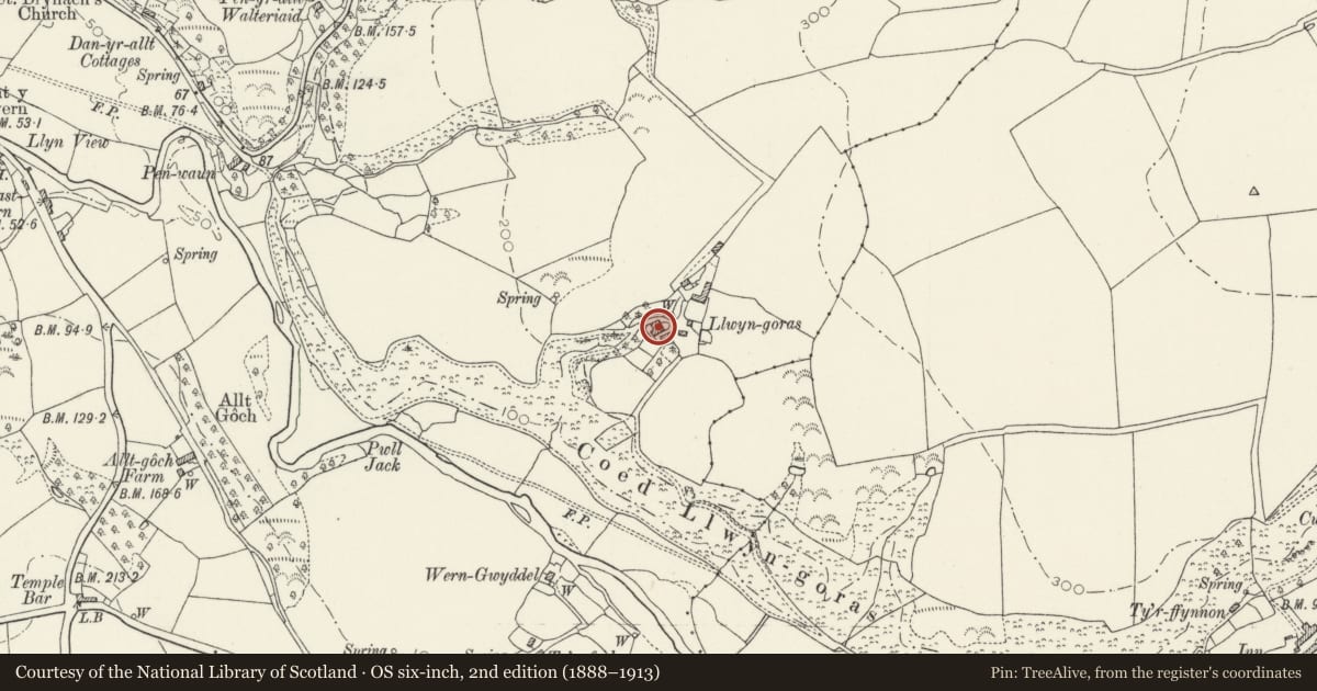Ordnance Survey six-inch map, 2nd edition (1888–1913) covering the location of Llwyngoras, including Garden Walls with Gate Piers, Nevern, Pembrokeshire, with a pin at the register's coordinates