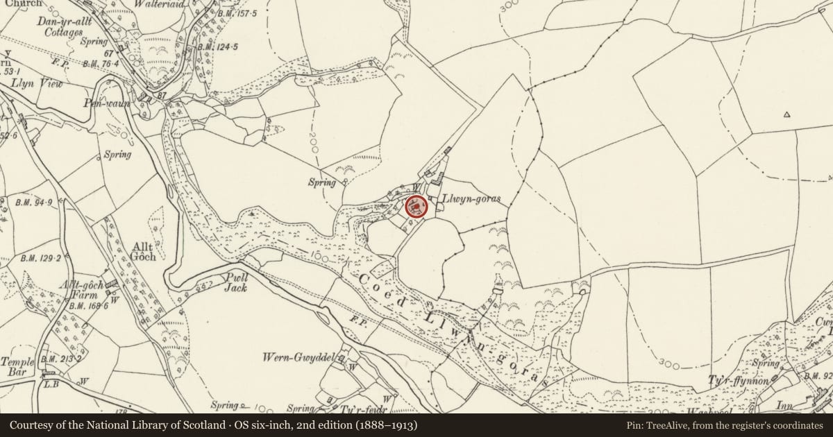Ordnance Survey six-inch map, 2nd edition (1888–1913) covering the location of Outbuilding to SE of Llwyngoras, Nevern, Pembrokeshire, with a pin at the register's coordinates