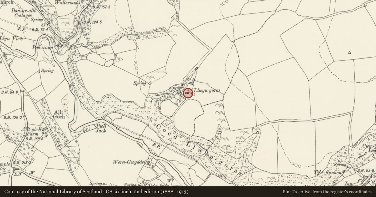 Ordnance Survey six-inch map, 2nd edition (1888–1913) covering the location of Coach House at Llwyngoras, Nevern, Pembrokeshire, with a pin at the register's coordinates