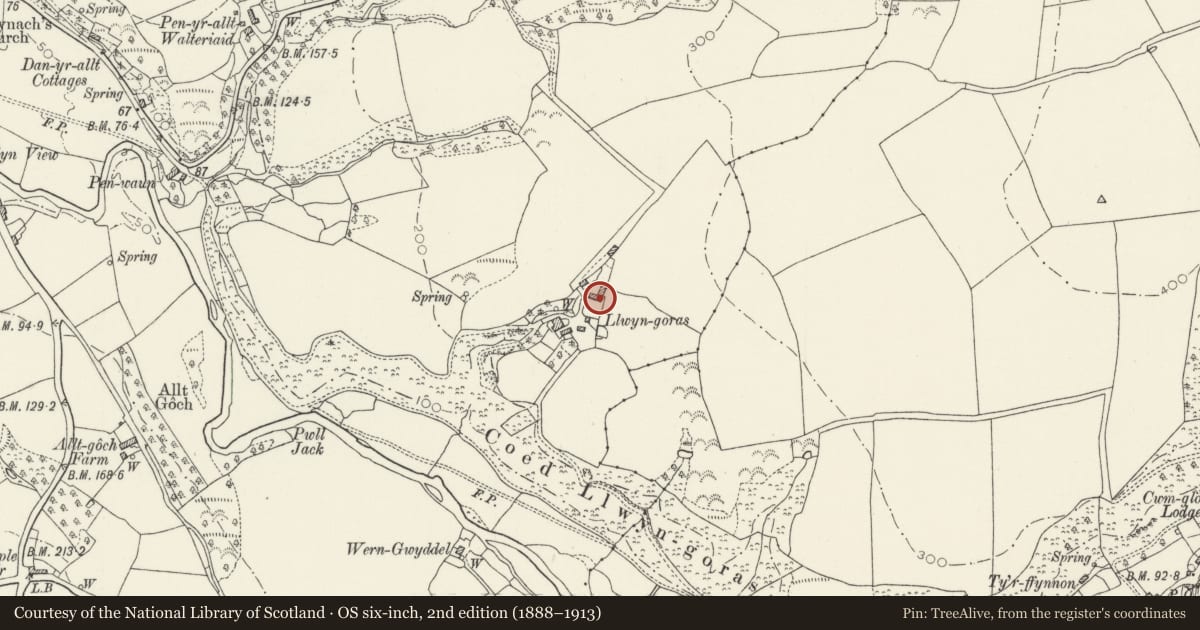 Ordnance Survey six-inch map, 2nd edition (1888–1913) covering the location of L-Plan range of outbuildings to NE. of Llwyngoras, Nevern, Pembrokeshire, with a pin at the register's coordinates