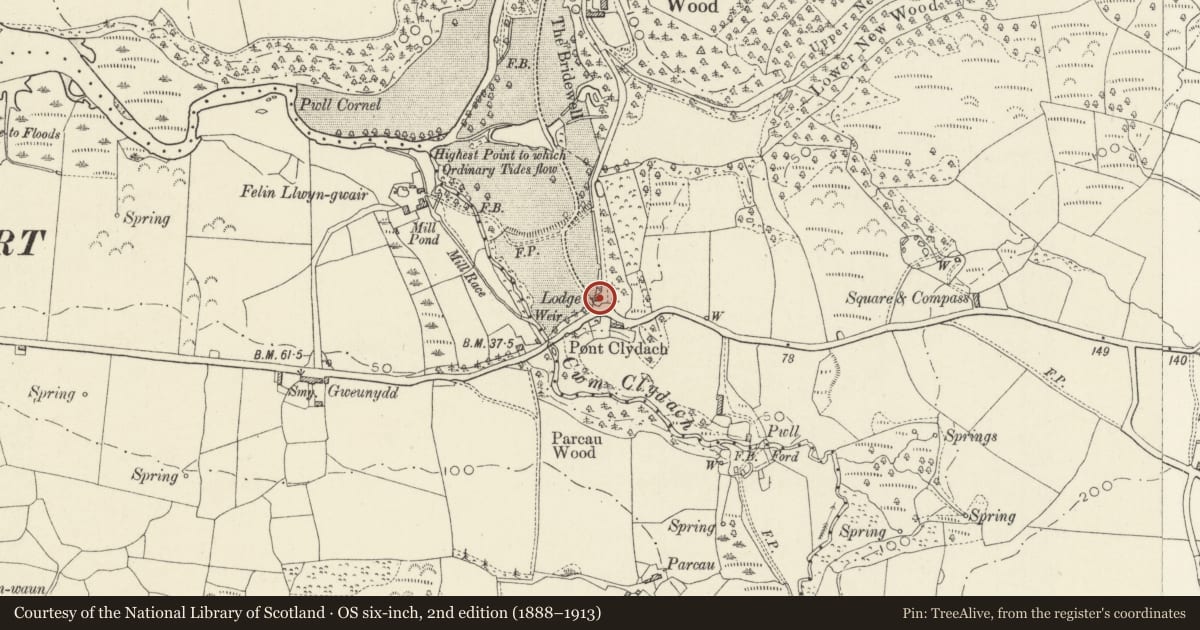 Ordnance Survey six-inch map, 2nd edition (1888–1913) covering the location of Lodge & Gatepiers to Llwyngwair Manor Hotel, Nevern, Pembrokeshire, with a pin at the register's coordinates
