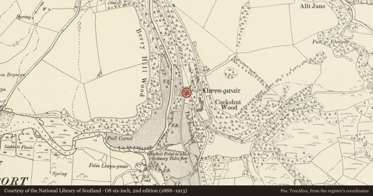 Ordnance Survey six-inch map, 2nd edition (1888–1913) covering the location of Llwyngwair Manor Hotel, Nevern, Pembrokeshire, with a pin at the register's coordinates