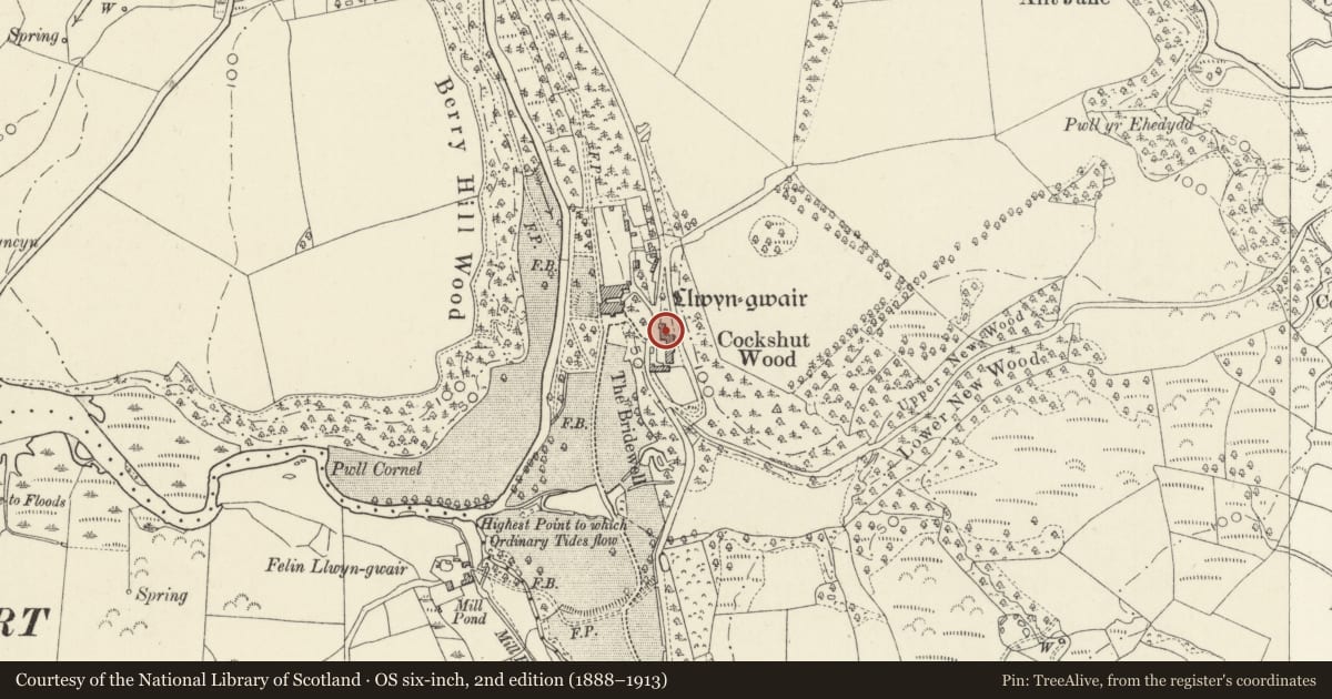 Ordnance Survey six-inch map, 2nd edition (1888–1913) covering the location of Stables at Llwyngwair Manor Hotel, Nevern, Pembrokeshire, with a pin at the register's coordinates