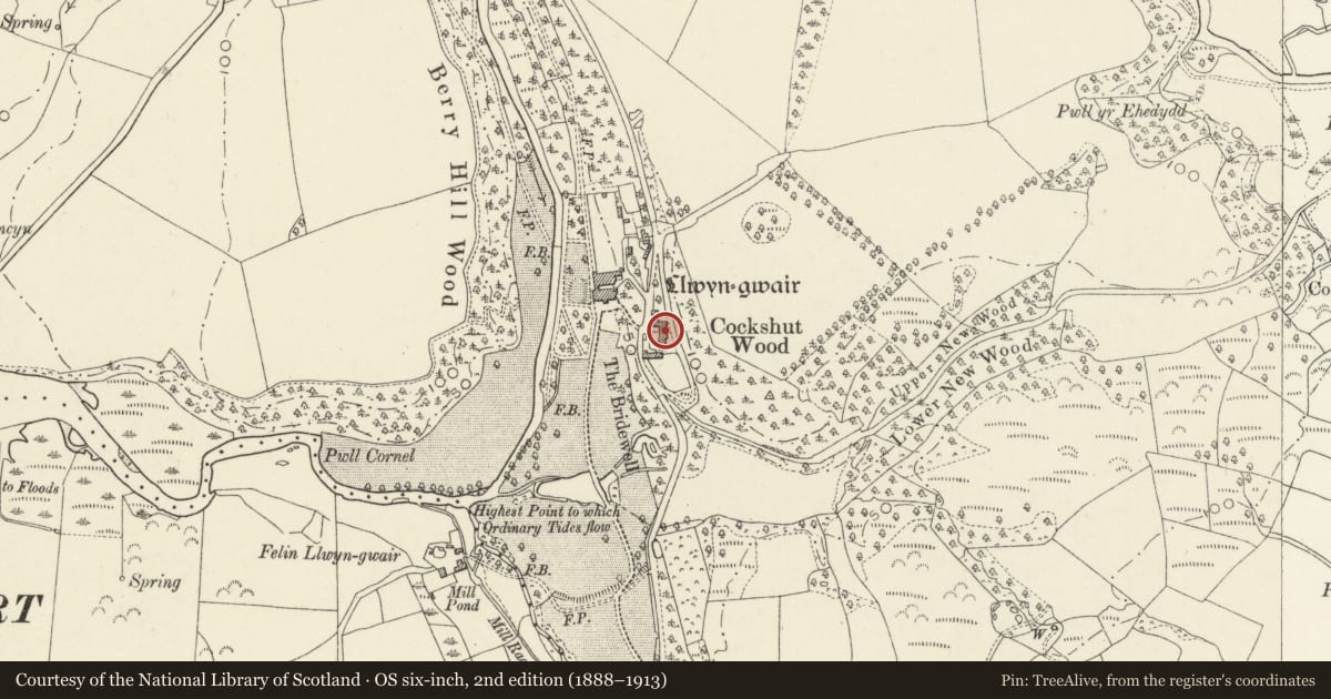 Ordnance Survey six-inch map, 2nd edition (1888–1913) covering the location of Coach House at Llwyngwair Manor Hotel, Nevern, Pembrokeshire, with a pin at the register's coordinates