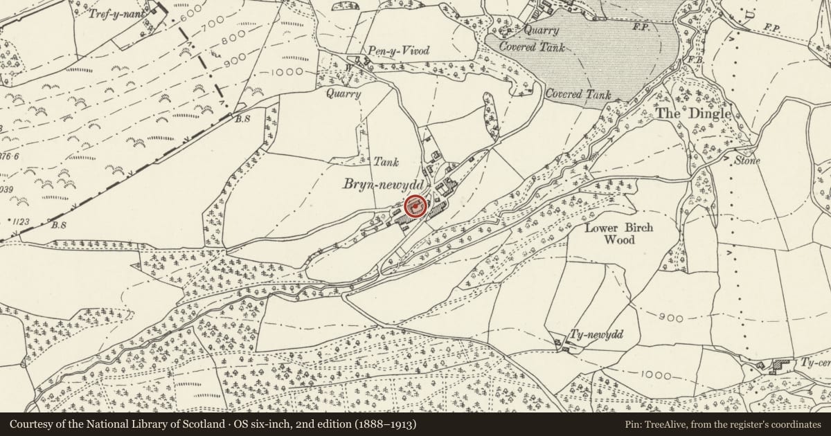 Ordnance Survey six-inch map, 2nd edition (1888–1913) covering the location of Cartshed & Granary to NW side of the Home Farmyard, Llangollen, Denbighshire, with a pin at the register's coordinates