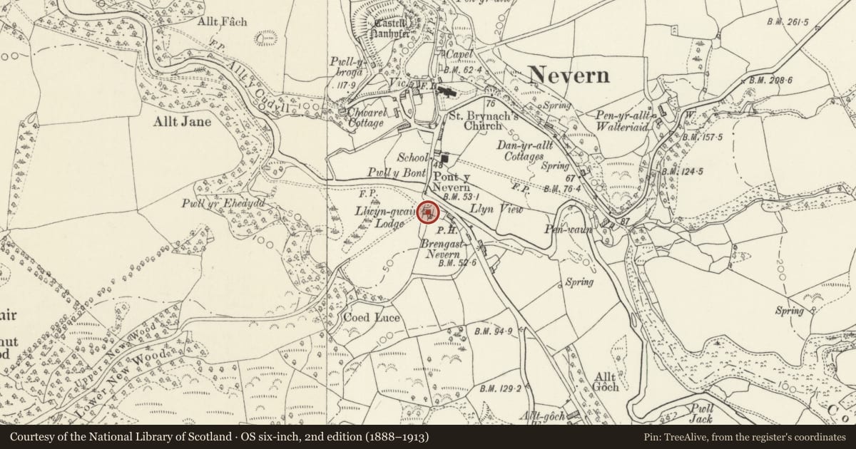 Ordnance Survey six-inch map, 2nd edition (1888–1913) covering the location of Llwyngwair Lodge, Nevern, Pembrokeshire, with a pin at the register's coordinates