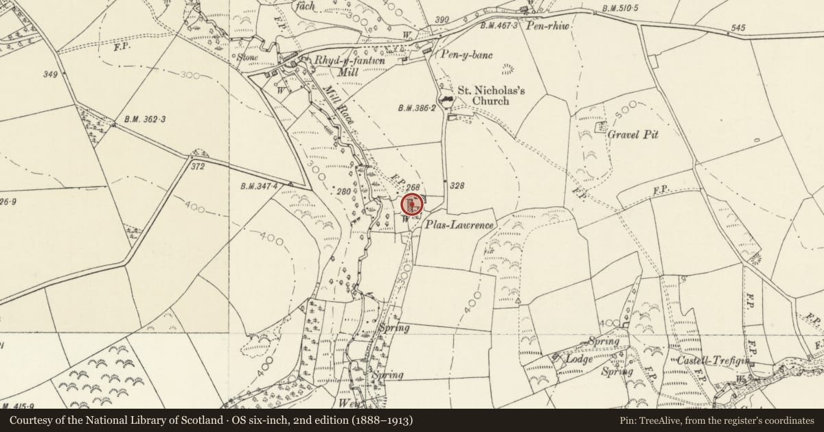 Ordnance Survey six-inch map, 2nd edition (1888–1913) covering the location of Plas Lawrence, including two Bee boles in front of Garden Wall, Nevern, Pembrokeshire, with a pin at the register's coordinates