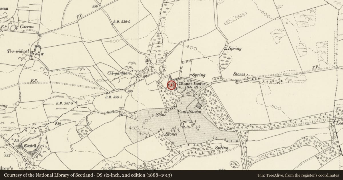 Ordnance Survey six-inch map, 2nd edition (1888–1913) covering the location of Outside Kitchen at Pantsaeson Farm, Nevern, Pembrokeshire, with a pin at the register's coordinates