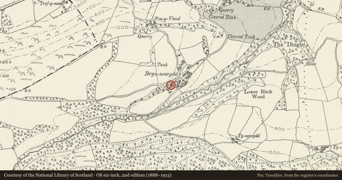 Ordnance Survey six-inch map, 2nd edition (1888–1913) covering the location of Dairy & Food Store at SW side fo the Home Farmyard, Llangollen, Denbighshire, with a pin at the register's coordinates