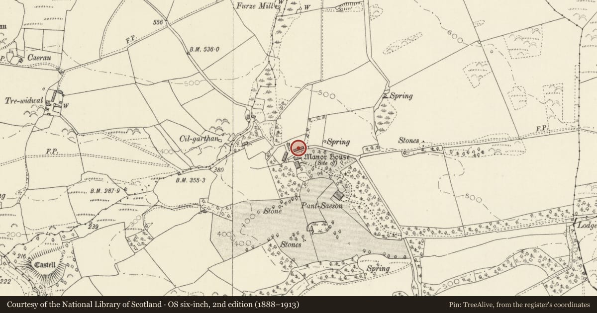 Ordnance Survey six-inch map, 2nd edition (1888–1913) covering the location of One of two ranges of linked Outbuildings at Pantsaeson Farm, Nevern, Pembrokeshire, with a pin at the register's coordinates