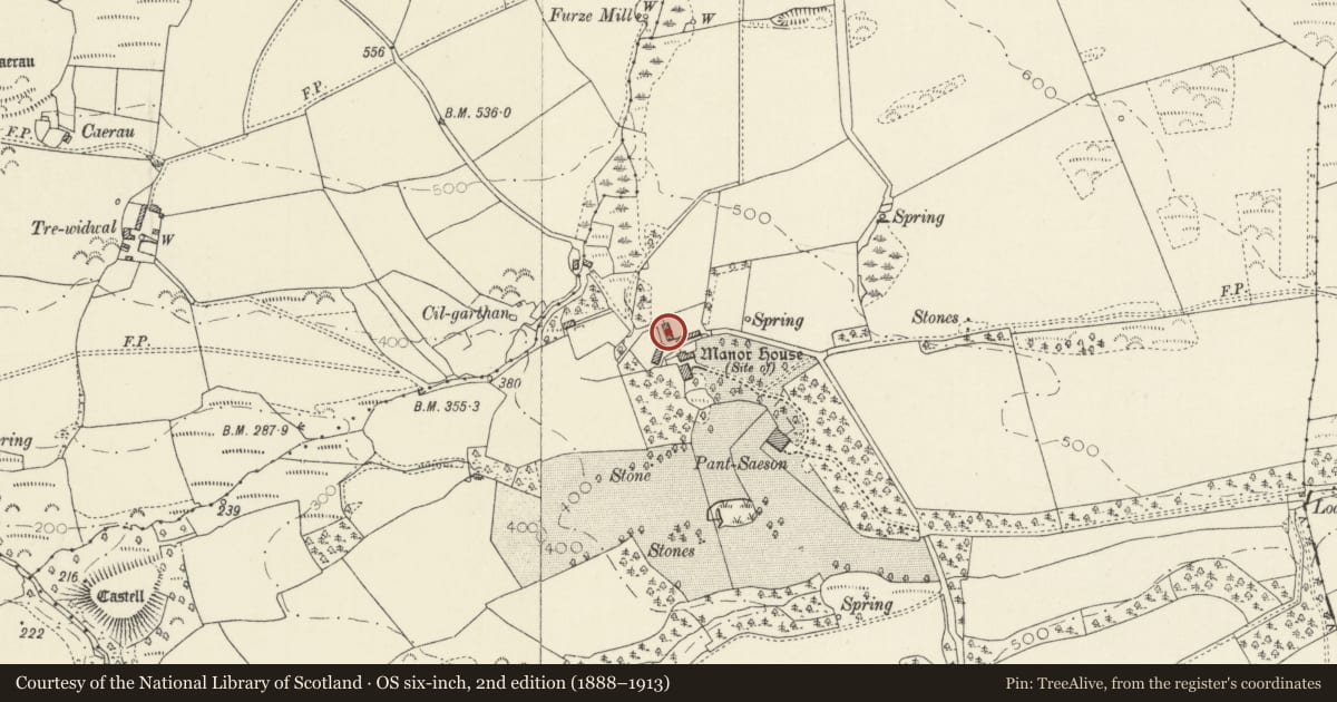 Ordnance Survey six-inch map, 2nd edition (1888–1913) covering the location of One of two ranges of linked outbuildings at Pantsaeson Farm, Nevern, Pembrokeshire, with a pin at the register's coordinates