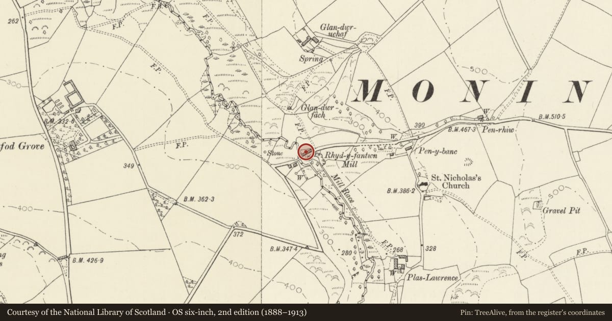 Ordnance Survey six-inch map, 2nd edition (1888–1913) covering the location of Rhydyfantwn Bach, Nevern, Pembrokeshire, with a pin at the register's coordinates
