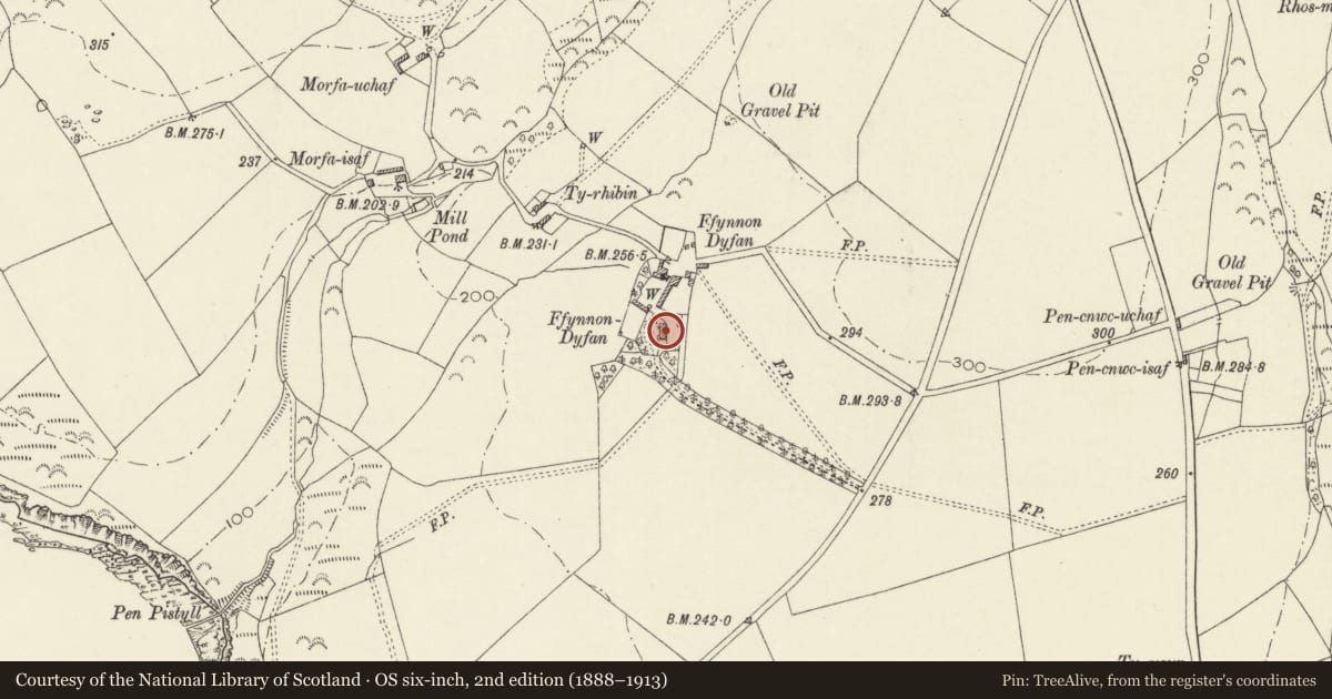 Ordnance Survey six-inch map, 2nd edition (1888–1913) covering the location of Ffynnonddofn Morfa, Nevern, Pembrokeshire, with a pin at the register's coordinates