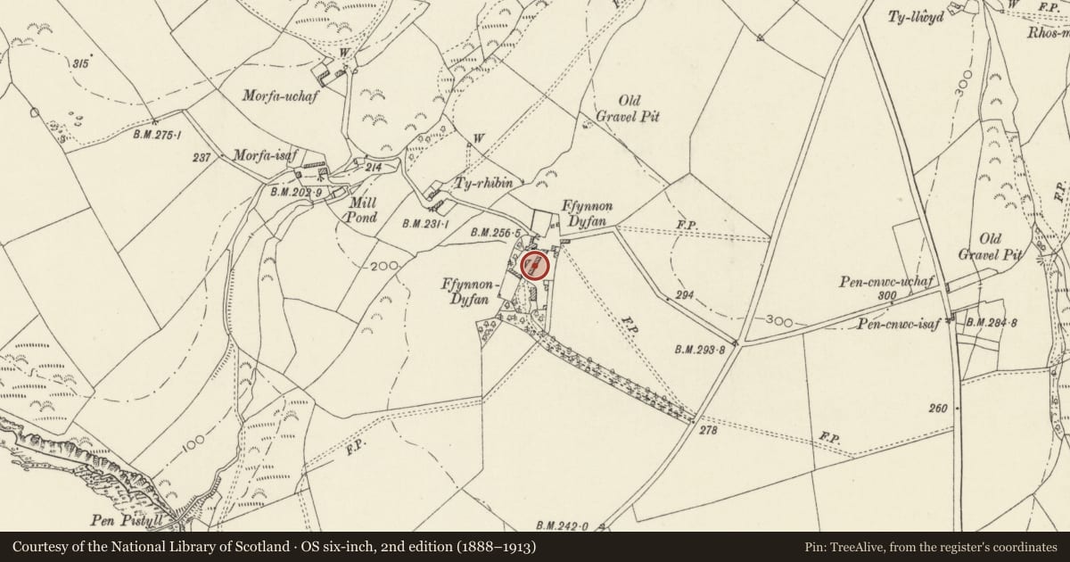 Ordnance Survey six-inch map, 2nd edition (1888–1913) covering the location of Outbuilding to N.of Ffynnonddofn Morfa, Nevern, Pembrokeshire, with a pin at the register's coordinates