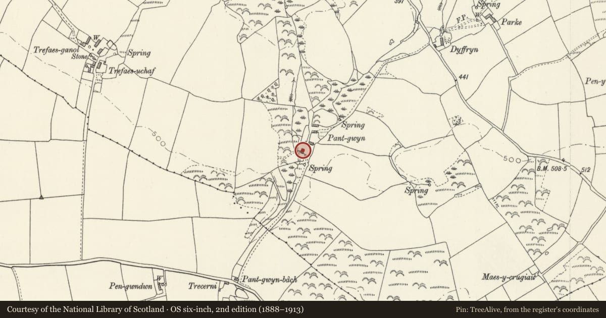 Ordnance Survey six-inch map, 2nd edition (1888–1913) covering the location of Pantgwyn Mawr, Nevern, Pembrokeshire, with a pin at the register's coordinates