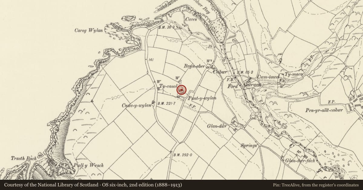 Ordnance Survey six-inch map, 2nd edition (1888–1913) covering the location of Cottage to N.of Pantywylan, Nevern, Pembrokeshire, with a pin at the register's coordinates