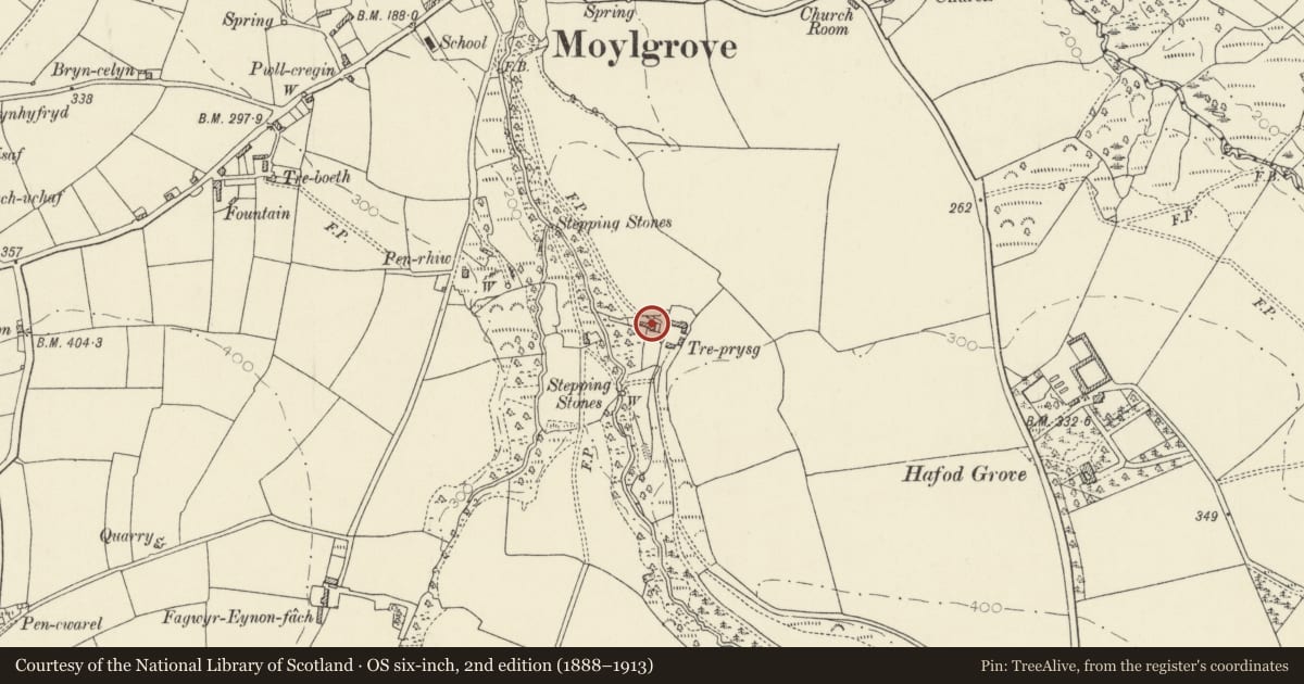 Ordnance Survey six-inch map, 2nd edition (1888–1913) covering the location of Tre-Prysg, Nevern, Pembrokeshire, with a pin at the register's coordinates