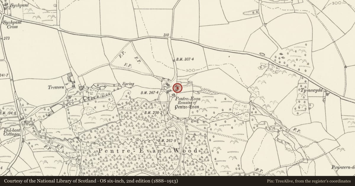 Ordnance Survey six-inch map, 2nd edition (1888–1913) covering the location of Evan Farmhouse, Nevern, Pembrokeshire, with a pin at the register's coordinates