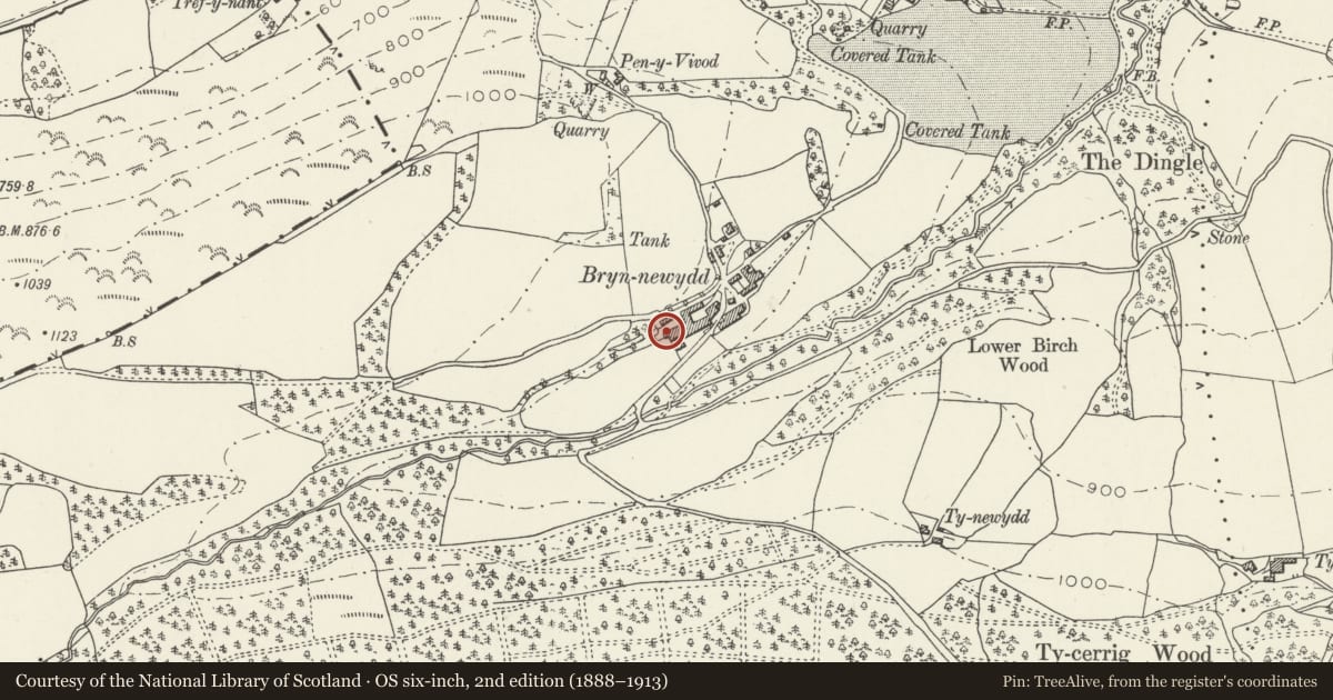 Ordnance Survey six-inch map, 2nd edition (1888–1913) covering the location of Cattleshed & Lower Stable Range to SE side of the Home Farmyard, Llangollen, Denbighshire, with a pin at the register's coordinates