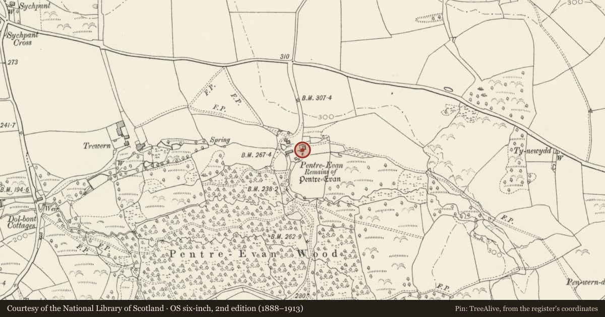 Ordnance Survey six-inch map, 2nd edition (1888–1913) covering the location of Outbuildings to right of Evan Farmhouse, Nevern, Pembrokeshire, with a pin at the register's coordinates