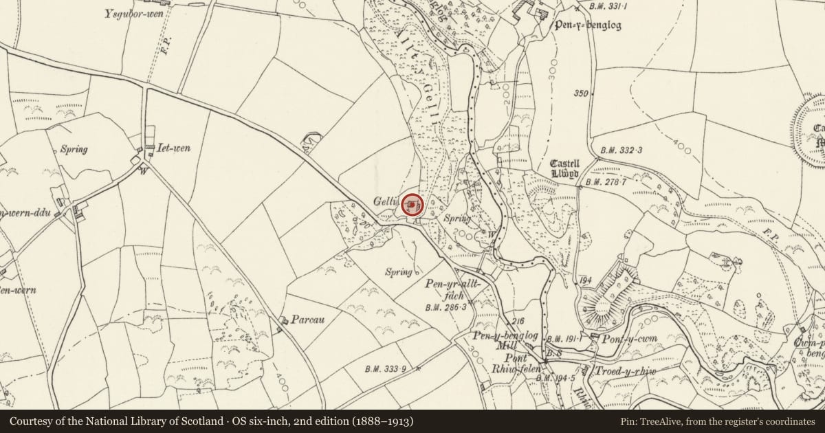 Ordnance Survey six-inch map, 2nd edition (1888–1913) covering the location of Gelli Rhiwfelin, Nevern, Pembrokeshire, with a pin at the register's coordinates