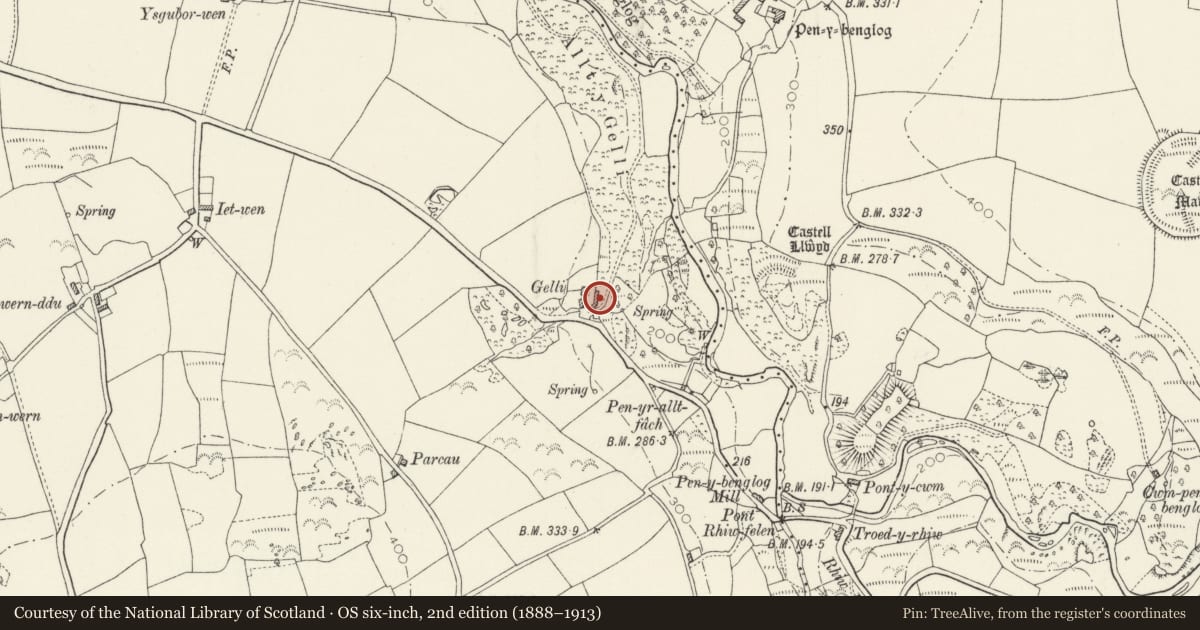 Ordnance Survey six-inch map, 2nd edition (1888–1913) covering the location of Range of outbuildings to E. of Gelli Rhiwfelin, Nevern, Pembrokeshire, with a pin at the register's coordinates