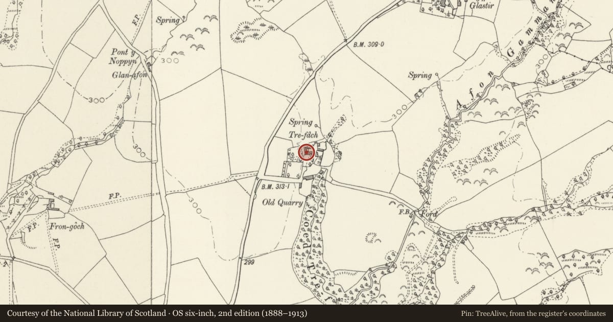 Ordnance Survey six-inch map, 2nd edition (1888–1913) covering the location of Trefach, including attached wing to the right, Nevern, Pembrokeshire, with a pin at the register's coordinates