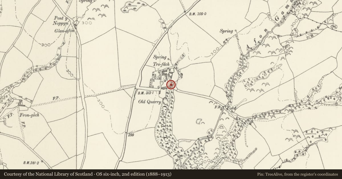 Ordnance Survey six-inch map, 2nd edition (1888–1913) covering the location of Trefach Mill, Nevern, Pembrokeshire, with a pin at the register's coordinates