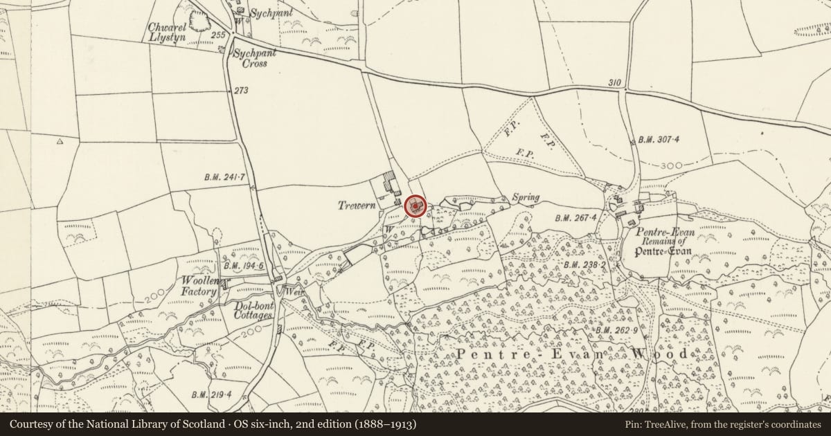 Ordnance Survey six-inch map, 2nd edition (1888–1913) covering the location of Trewern, Nevern, Pembrokeshire, with a pin at the register's coordinates