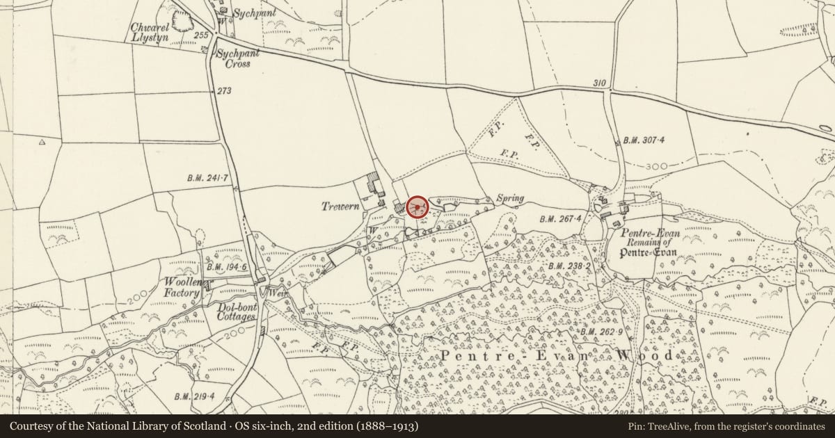 Ordnance Survey six-inch map, 2nd edition (1888–1913) covering the location of Privy at Trewern, Nevern, Pembrokeshire, with a pin at the register's coordinates