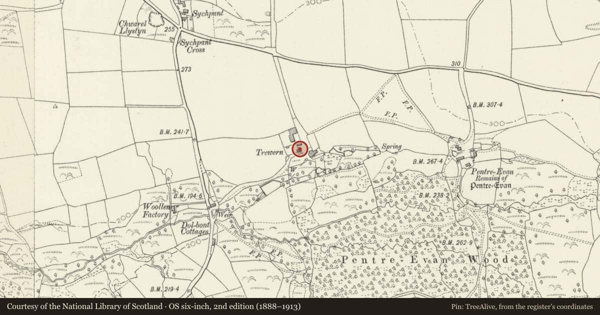 Ordnance Survey six-inch map, 2nd edition (1888–1913) covering the location of Stable Block at Trewern, Nevern, Pembrokeshire, with a pin at the register's coordinates
