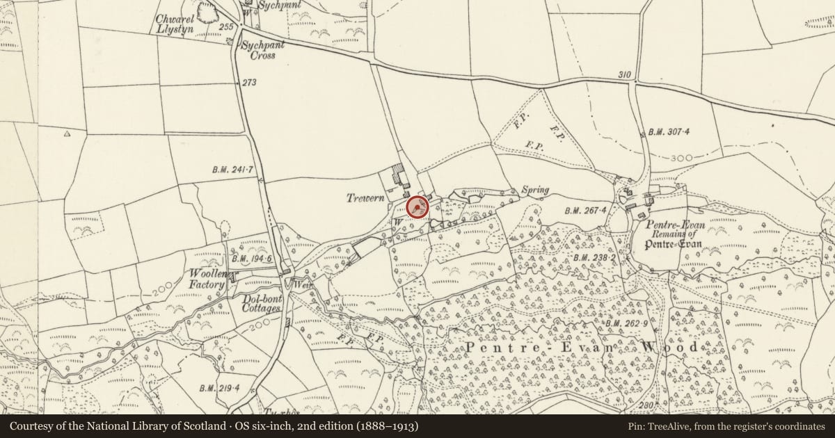 Ordnance Survey six-inch map, 2nd edition (1888–1913) covering the location of Outbuildings by Pond W.of Trewern, Nevern, Pembrokeshire, with a pin at the register's coordinates