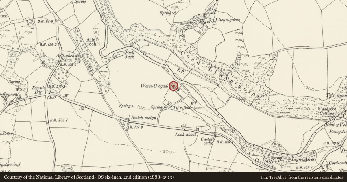 Ordnance Survey six-inch map, 2nd edition (1888–1913) covering the location of Wern Gwyddel, Nevern, Pembrokeshire, with a pin at the register's coordinates