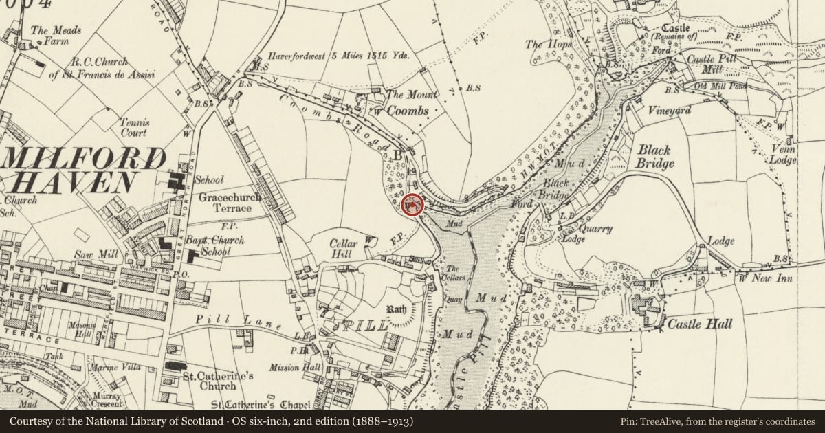 Ordnance Survey six-inch map, 2nd edition (1888–1913) covering the location of Limekiln near Castle Pill, Milford Haven, Pembrokeshire, with a pin at the register's coordinates