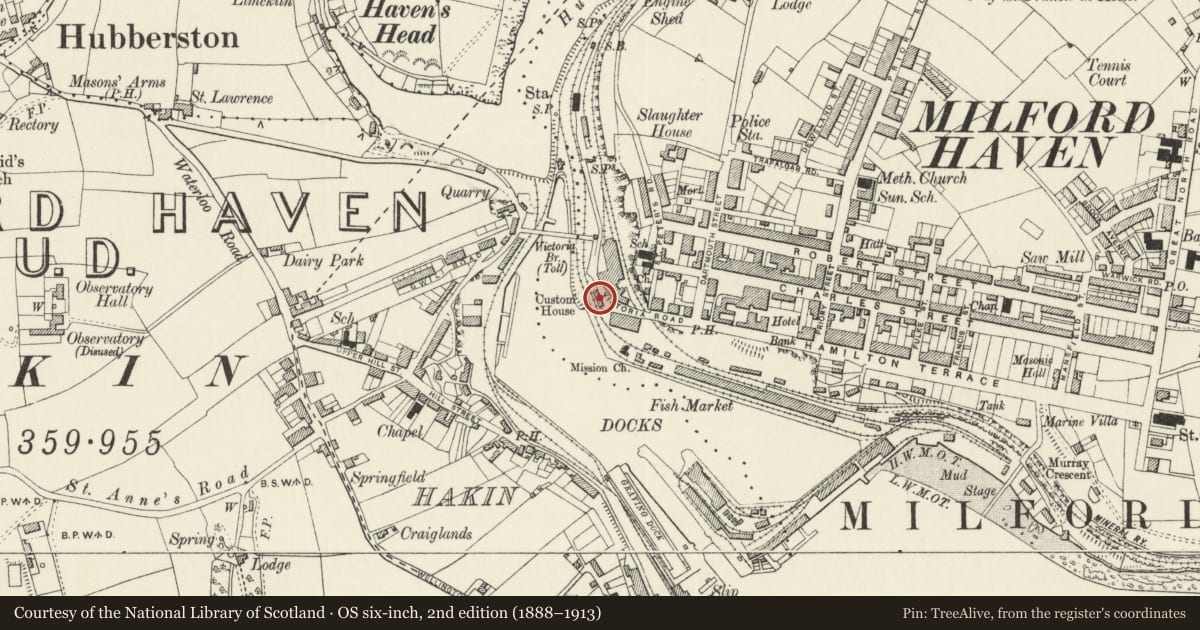 Ordnance Survey six-inch map, 2nd edition (1888–1913) covering the location of Waterfront Bistro (formerly listed as Milford Docks Company Offices), Milford Haven, Pembrokeshire, with a pin at the register's coordinates