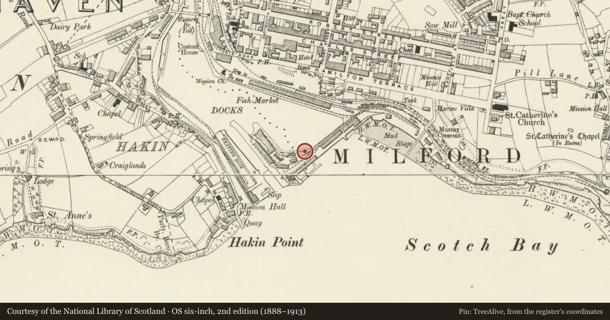 Ordnance Survey six-inch map, 2nd edition (1888–1913) covering the location of Crane on S.Side of Marina Basin, Milford Haven, Pembrokeshire, with a pin at the register's coordinates