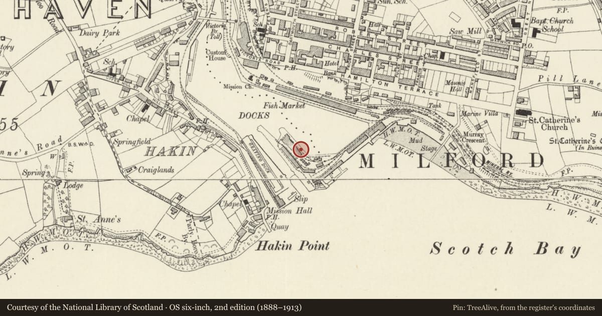 Ordnance Survey six-inch map, 2nd edition (1888–1913) covering the location of One of a set of four Bollards on S.Side of Marina Basin, Milford Haven, Pembrokeshire, with a pin at the register's coordinates