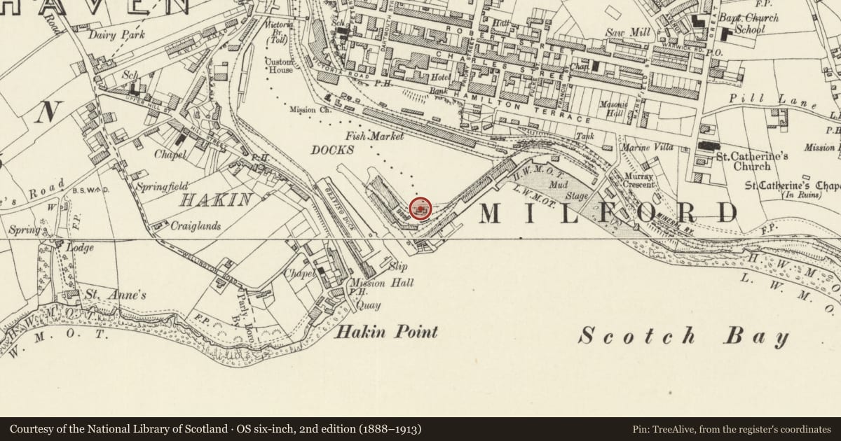 Ordnance Survey six-inch map, 2nd edition (1888–1913) covering the location of One of a set of four Bollards on S.Side of Marina Basin, Milford Haven, Pembrokeshire, with a pin at the register's coordinates
