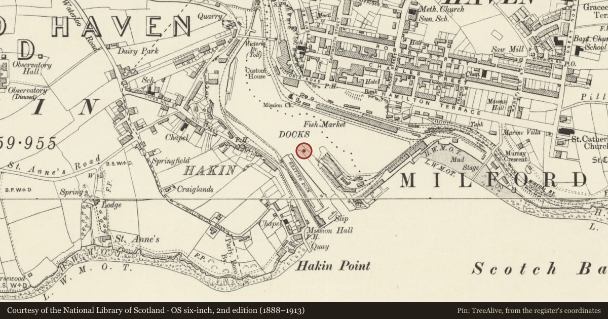 Ordnance Survey six-inch map, 2nd edition (1888–1913) covering the location of One of 28 Bollards Flanking Entrance Lock, Milford Haven, Pembrokeshire, with a pin at the register's coordinates