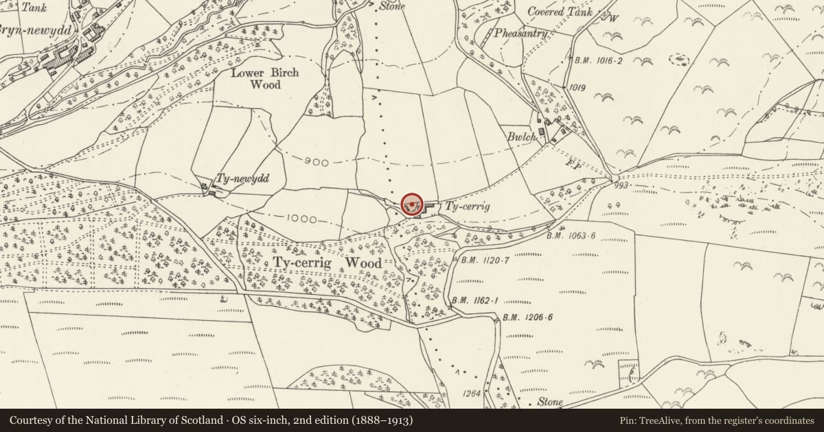 Ordnance Survey six-inch map, 2nd edition (1888–1913) covering the location of Ty Cerrig, Llangollen, Denbighshire, with a pin at the register's coordinates